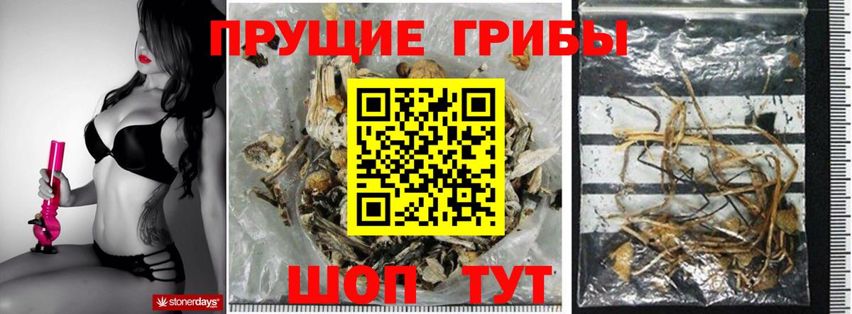 Чехов  Галлюциногенные грибы Cubensis  Псилоцибиновые грибы MAGIC MUSHROOMS  Вход с VPN 
