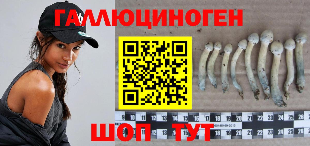 Псилоцибиновые грибы мухоморы Чехов